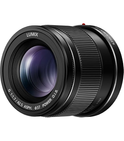 Amazon.com : Panasonic LUMIX G Lens, 42.5MM, F1.7 ASPH