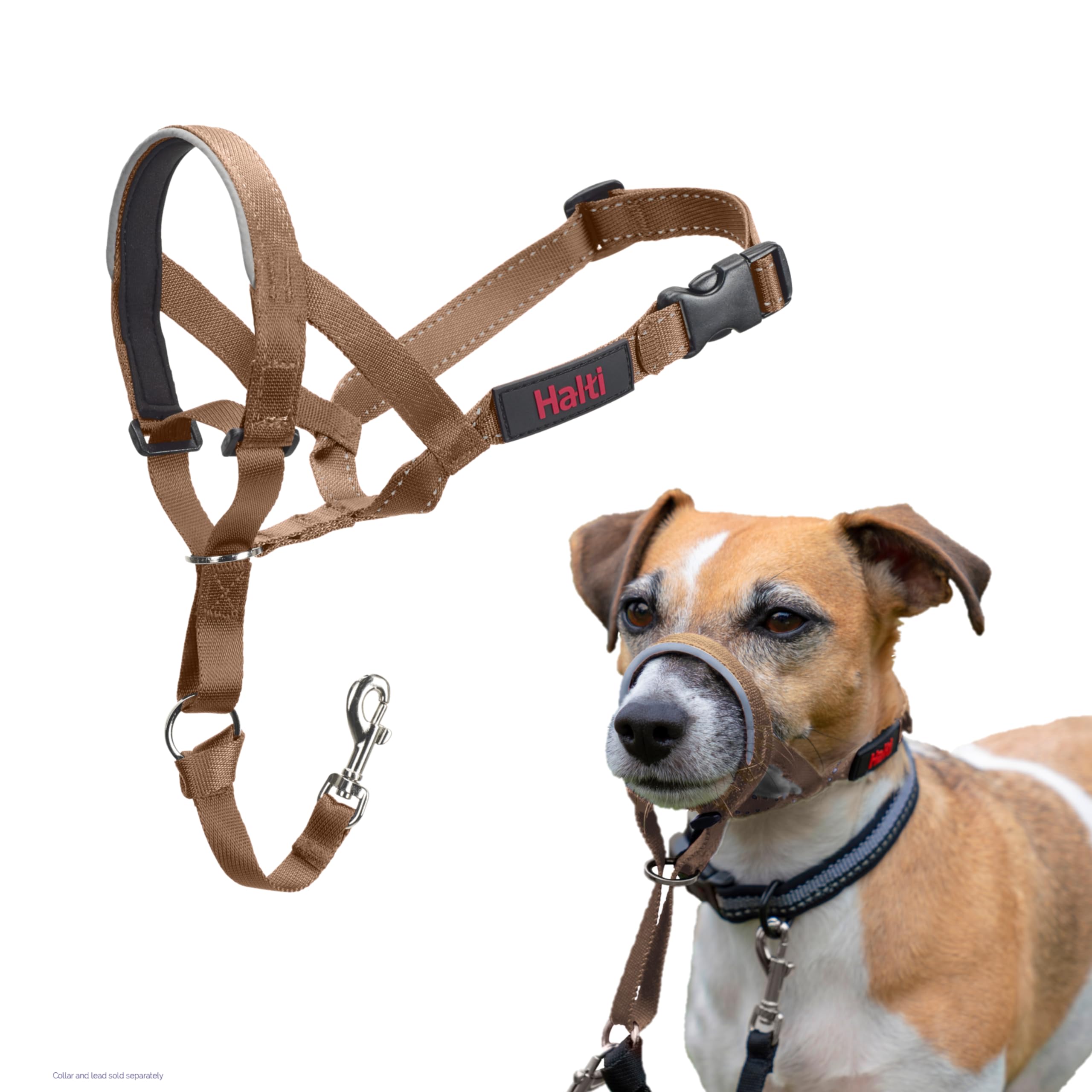 Halti Headcollar - Stop Your Dog Pulling on the Lead. Adjustable, Reflective and Lightweight, with Padded Nose Band. Dog Training Anti-Pull Collar for Small Dogs (Size 1, Desert Sand)