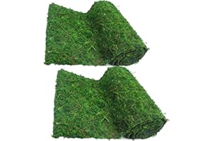 FAICOIA 2 Pcs Moss Table Runner Preserved Moss Mat for Crafts Wedding Party Decor 12" x 48" Green Moss Roll for Fairy Gardens Woodland Table Decor Moss Carpet for Green Moss Grass Wall 30x120cm