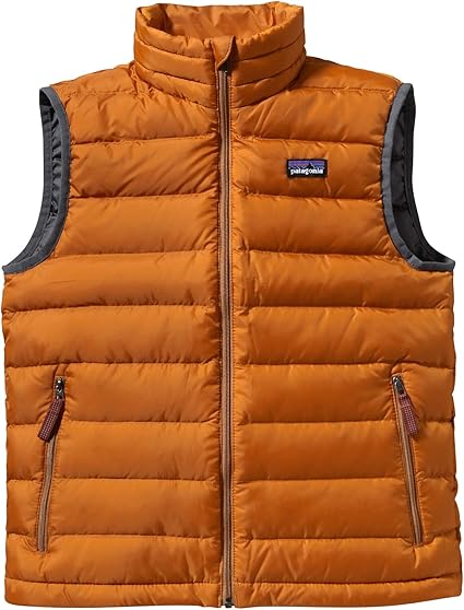 patagonia down sweater vest boys