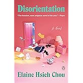 Disorientation: A Novel