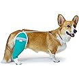 After Surgery Wear Hip and Thigh Wound Protective Sleeve for Dogs. Dog Recovery Sleeve. Recommended by Vets Worldwide (X-Small - Short Sleeve, Teal Green)
