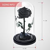 INTIGNIS Black Eternal Forever Rose | Preserved Gift for Women view 3