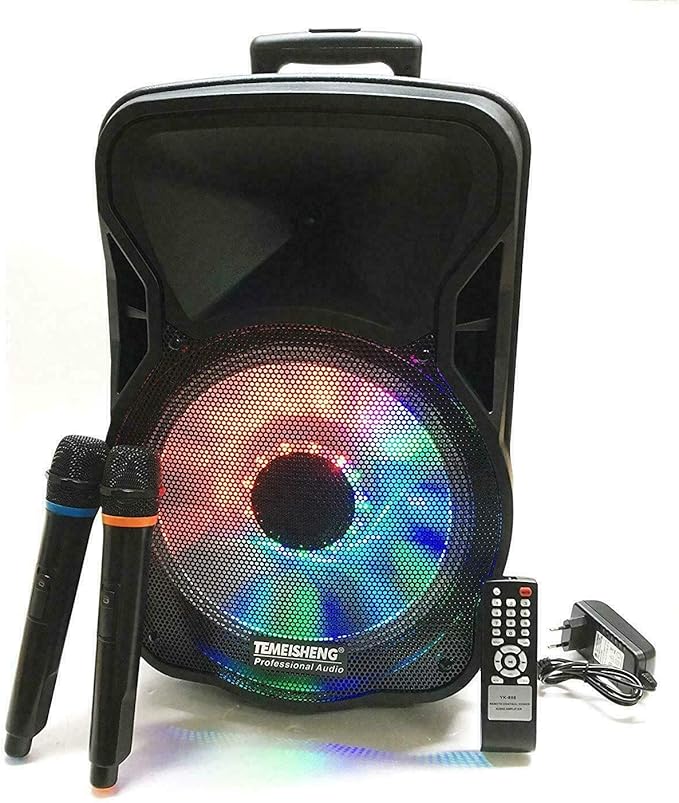 Cassa Acustica Amplificata Karaoke 350 Watt Max Trolley con 2 microfoni