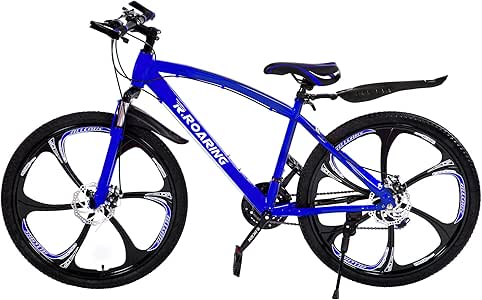 Amazon.com : R.ROARING Mountain Bike 21 Speed Double Disc Brake 24-inch Wheels 6 Spoke Bicycle 