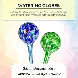 Blazin Self Watering Bulbs for Plants | Automatic