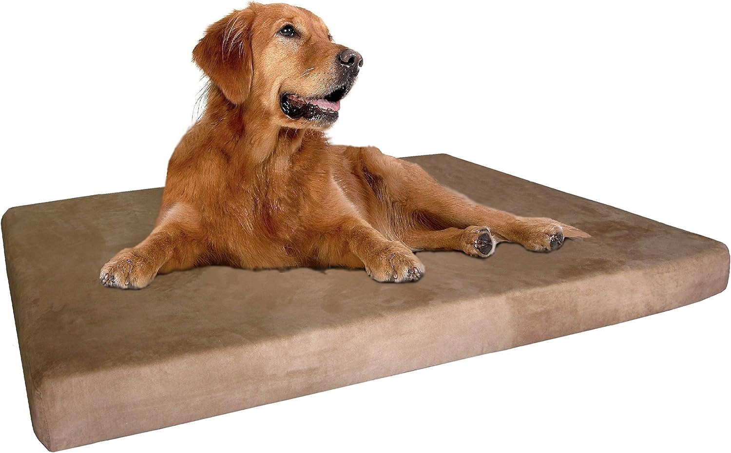 48 x 30 dog bed