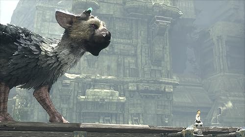 人喰いの大鷲トリコ 初回限定版 予約 最安値情報 Ps4 少年と巨獣が紡ぐ 新たなる神話 一人と一匹の絆を描くファン待望の新作 Daystar
