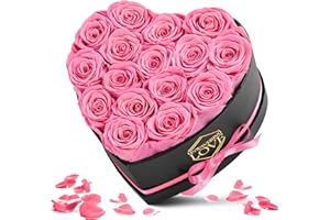 POMINEL Gift for Mom Pink 16Pcs Eternal Preserved Roses Flowers in Heart Shape Box Mothers Day Birthday Gifts for Mom Women