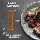 Tasty Bone Nylon Dog Chew Toy Lamb Small Dogs Indestructible UK Made view 5