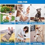 Pet Soft Male Dog Nappies 48 Count Disposable Wraps with Wetness Indicator view 7