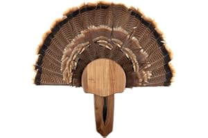 Walnut Hollow Country Turkey Fan Mount with Display Kit