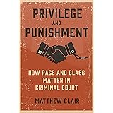 Privilege and Punishment: How Race and Class Matter in Criminal Court