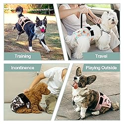 Grecle Dog Diapers Female(3 Pack) - No Leak
