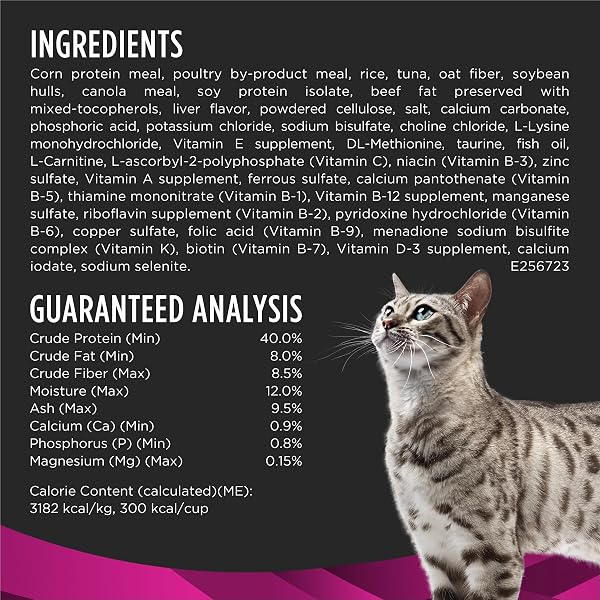 PURINA PRO PLAN VETERINARY DIETS UR URINARY ST/OX FELINE FORMULA DRY CAT FOOD – 6 LB. BAG