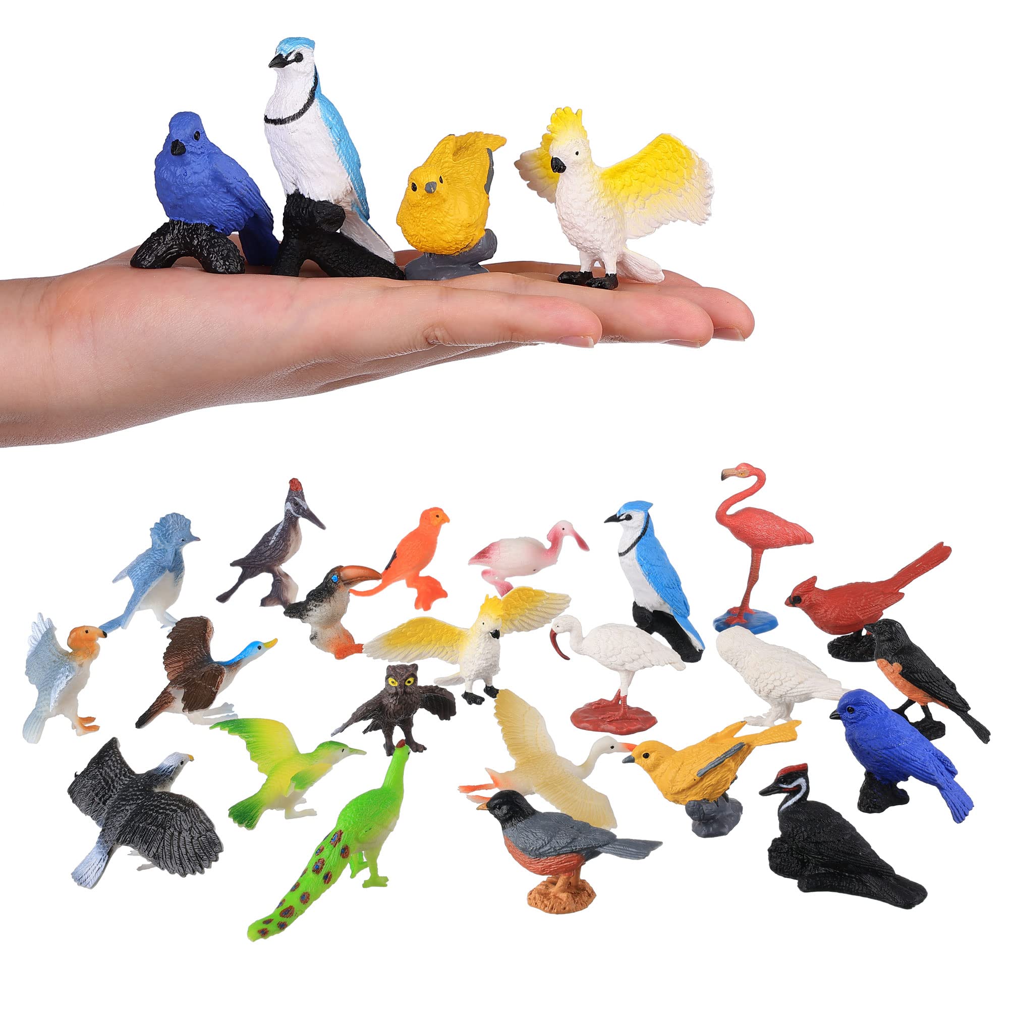 HOMNIVE Birds Figurines: 23pcs Realistic Eagle, Parrot, Robin, Owl Toy Birds - Fairy Garden Accessories, Educational Toys - Dollhouse Birthday Cake Topper for Kids