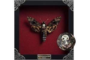 VINADECOR Real Death Head Moth White Skull Acherontia Gothic Witchy Spooky Halloween Butterfly Entomology Shadow Box Insect Oddity Curiosities Taxidermy Wall Art Home Decor Living Gallery K18-01-DO-MT