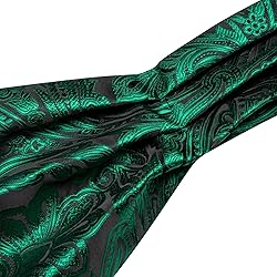 Ailisus Cravat Tie and Lapel Pin Set Mens Paisley