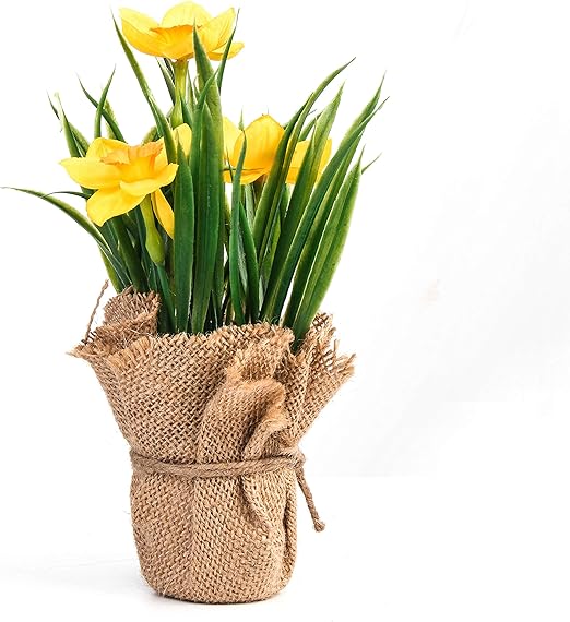 Amazon Com Jusdreen Mini Artificial Flower Bonsai Flower Arrangement Flowers Pot With Hemp Rope And Linen For Home Office Decor House Decorations Furniture Decorations Yellow Flower Home Kitchen