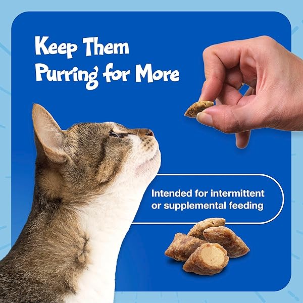 BLUE BUFFALO BURSTS CRUNCHY & CREAMY CAT TREATS, GREAT FOR TRAINING, DELISH LIVER & BEEF, 12-OZ. TUB