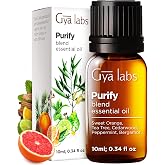 Gya Labs Purify Essential Oil Blend - 0.34 Fl Oz - for Diffuser, Hair | Fresh &amp; Cleansing Purification Scent for Aromatherapy &amp; Natural Air Freshening