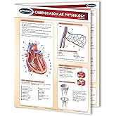 Cardiovascular Physiology - Biology - Medical Quick Reference Guide by Permacharts