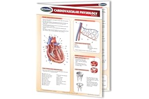 Cardiovascular Physiology - Biology - Medical Quick Reference Guide by Permacharts