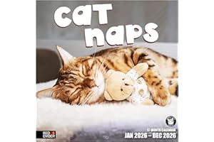RED EMBER Cat Naps 2026 Wall Calendar 12 Month | 12" x 24" Open | Thick & Sturdy Paper | Giftable | Calendar 2026