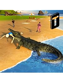 Crocodile Attack 2016