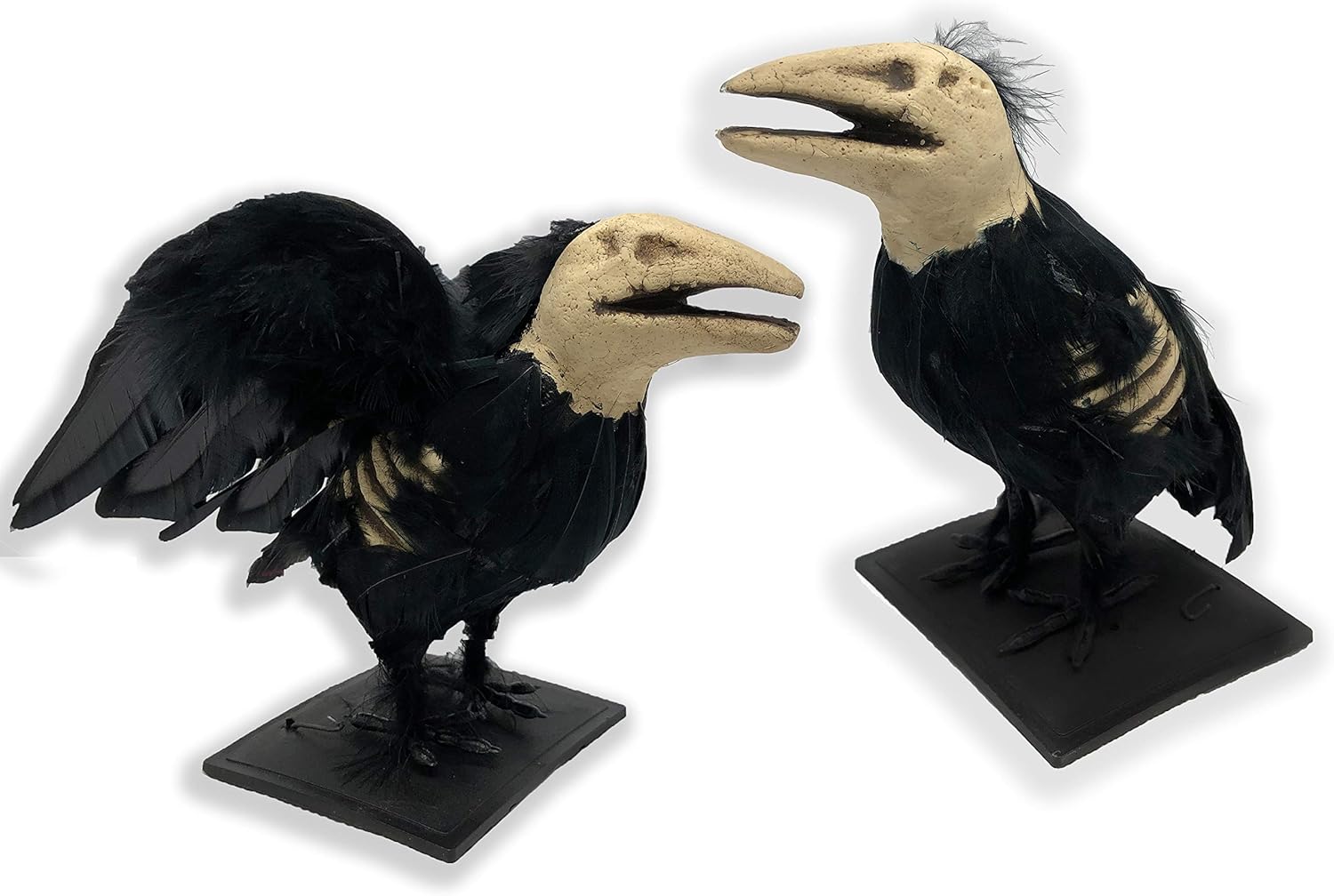 Amazon Com Skeleton Crows Halloween Decor Black Feathered Bird