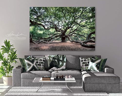 Amazon Com Angel Oak Tree Charleston Sc Canvas Or Metal Ready To Hang Fine Art Photo Color Nature Photography Small To Extra Large Wall Decor 7 X5 To 72 X48 Landscape Handmade