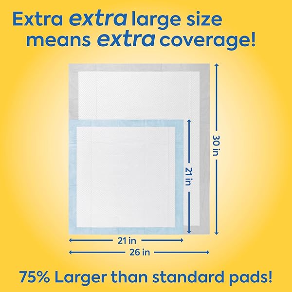 OUT! PETCARE XXL DOG TRAINING PADS, HEAVY DUTY DOG PEE PADS XXL, JUMBO PUPPY PADS, WEE WEE PADS FOR DOGS AND PUPPIES, DOG HOUSE TRAINING, LEAK PROOF, SAFE, DISPOSABLE, 26″X30″, 30 CT