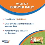 Company of Animals Boomer Ball 10 inch Tough Dog Toy Floats Assorted view 2
