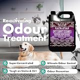 Dirtbusters Pet Carpet Cleaner Shampoo 5L Geranium Chamomile Odour view 3