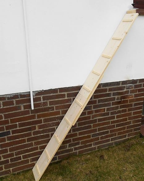 cat stairs for window