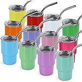FECBK 3 oz Mini Tumbler Shot Glass with Straw and Lid 12 Pcs Sublimation Shot Glasses Tumblers Stainless Steel Mini Shot Glasses with Lids for Wedding Party Whiskey Cocktail Bar, 12 Colored