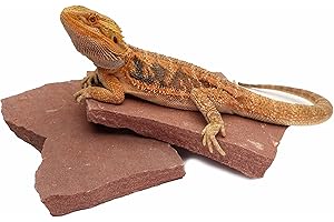 CAROLINACUSTOMCAGES Natural Habitat Basking Rocks for Reptiles, Wyoming Rose, Medium Size Pair, Carolina Custom Cages