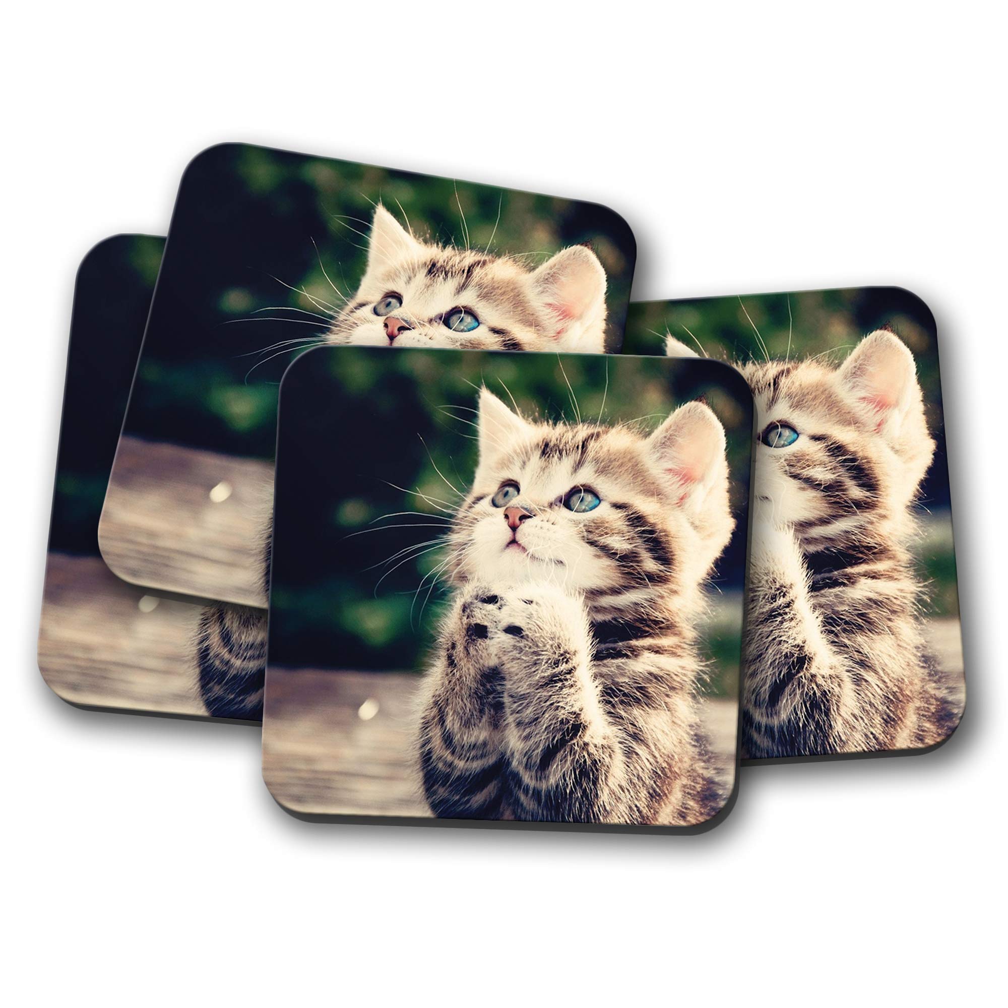 4 Set - Adorable Kitten Coaster - Cats Animal Mum Daughter Cool Fun Gift #8953
