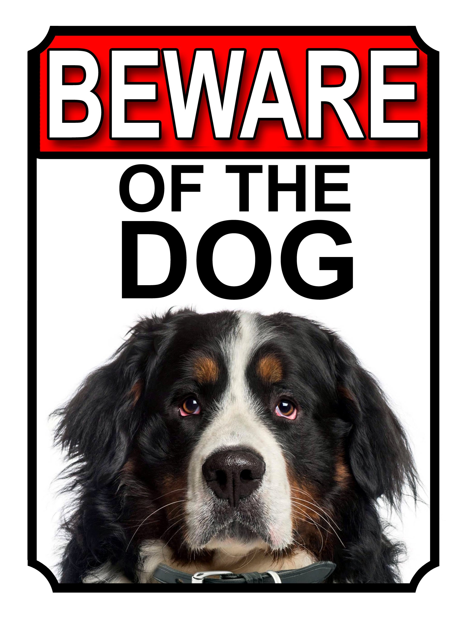 SHAWPRINT BEWARE OF THE DOG METAL GATE SIGN BERNESE MOUNTAIN DOG 200MM X 150MM (1109H1) — image 1