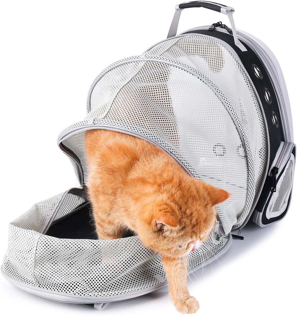 Lollimeow Pet Carrier Backpack, Bubble Backpack Carrier, Cats and Puppies, Airline-Approved, Designed for Travel, Hiking, Walking & Outdoor Use (Black-Expandable) : Pet Supplies