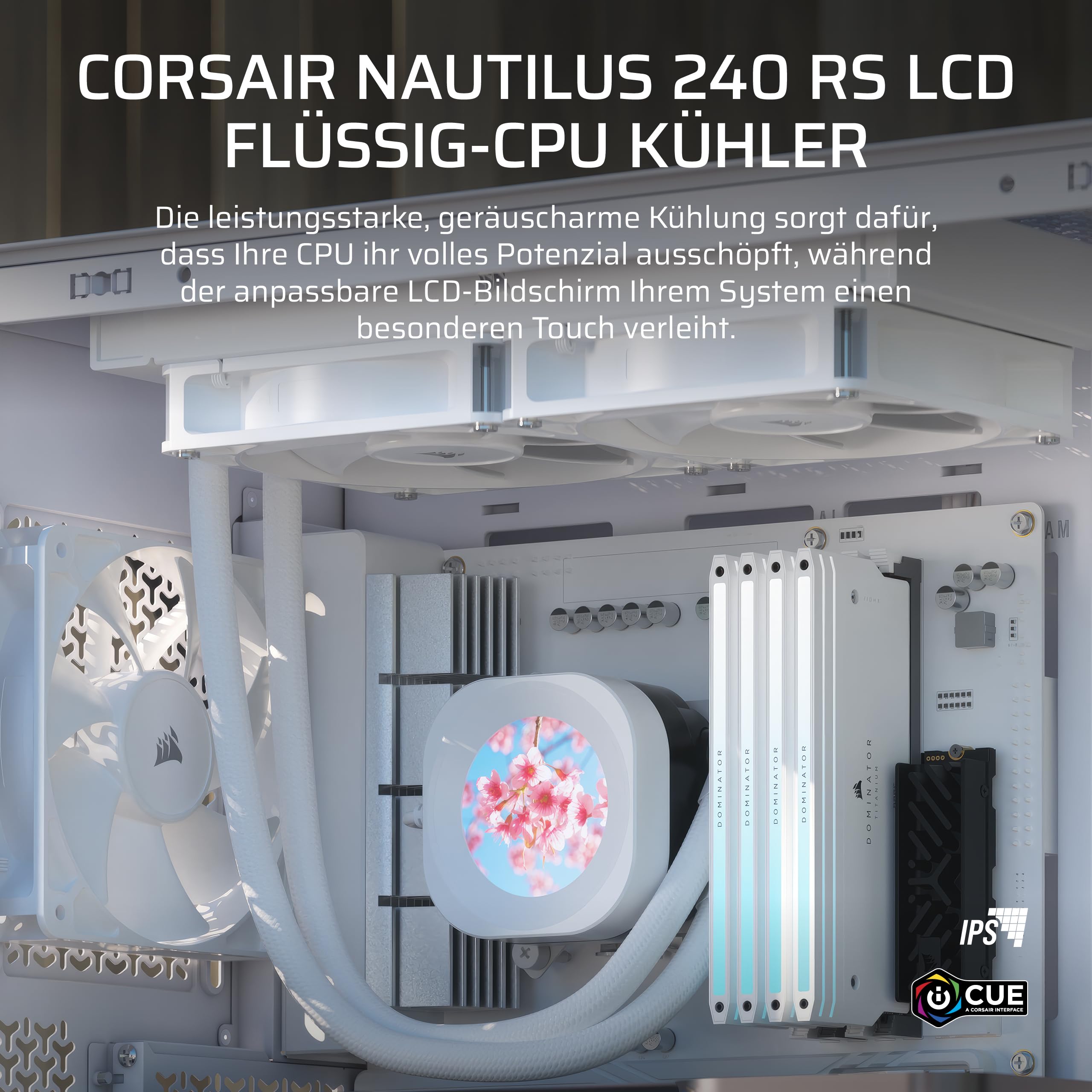 CORSAIR Nautilus 240 RS LCD Flüssig-CPU-Kühler – 2,1-Zoll-IPS LCD-Bildschirm, 240mm AIO, Einfache Daisy-Chain-Verbindungen, Intel LGA 1851/1700, AMD AM5/AM4 – Enthält 2X RS120-Lüfter – Weiß 2