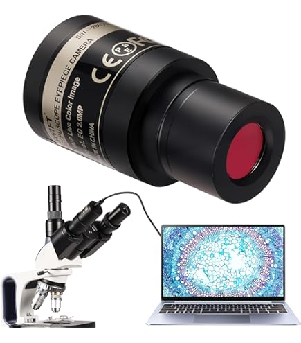 Amazon.com: AmScope A60X 60X Achromatic Microscope Objective, Grey