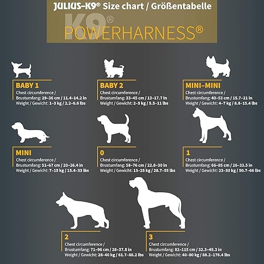 easy clean rabbit hutch
