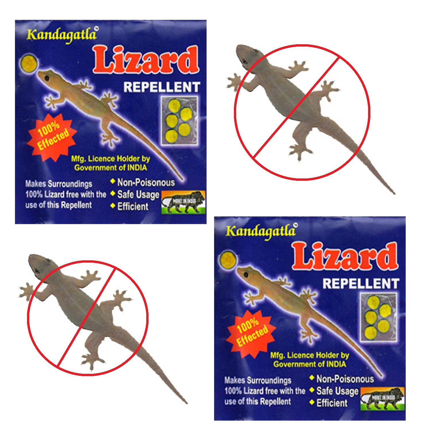 Electronic Lizard Repellent Device at John Blankenship blog