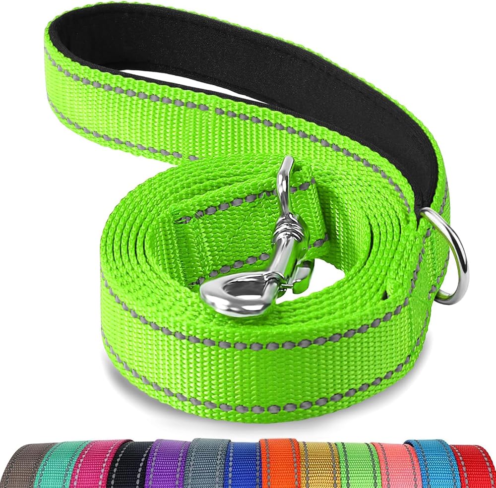 Joytale Padded Handle Dog Lead 1.2m 2.5cm Green Reflective Double-Sided Nylon