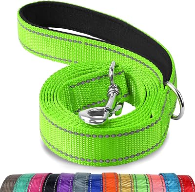 Joytale Padded Handle Dog Lead Double-Sided Reflective Nylon 1.8 m Green
