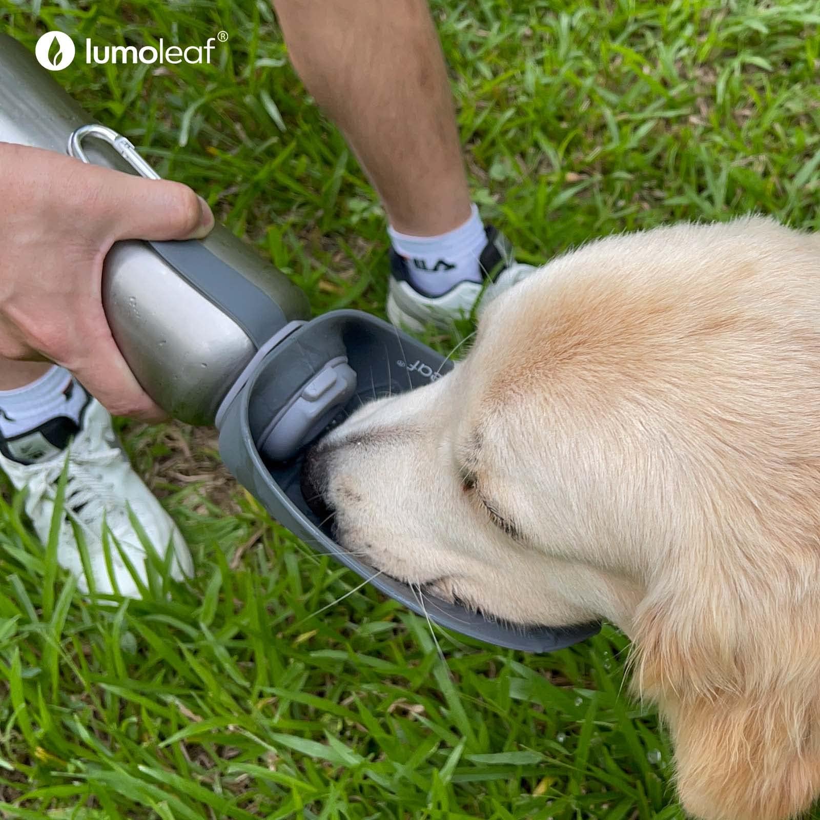 Portable Dog Water Bottle