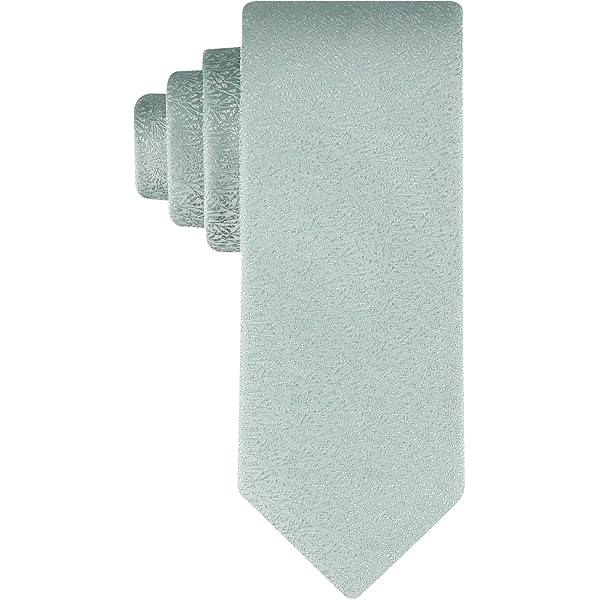calvin klein silver tie