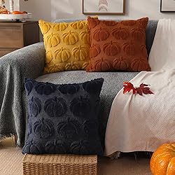 DFXSZ Fall Pillow Covers 20x20 Set of 2 Fall