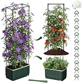 Raised Garden Bed Planter Box with Trellis, Self Watering Tomato Planters for Climbing Plants, Tomato Cage Trellis for Vegetables &amp; Vine Flowers Indoor Outdoor Patio